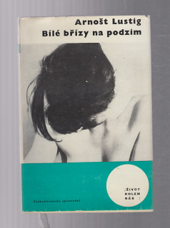 Bílé břízy na podzim