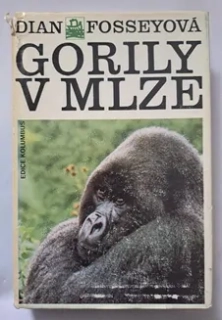 Gorily v mlze
