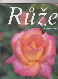 Růže