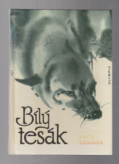 Bílý tesák