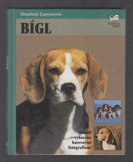 Bígl