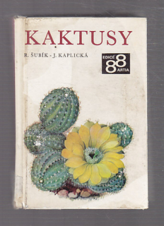 Kaktusy