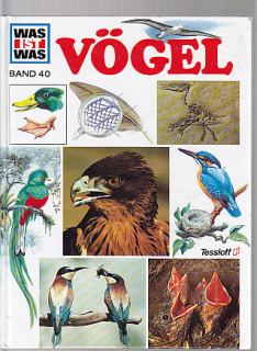 Vögel