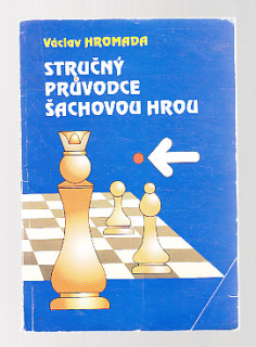 Stručný průvodce šachovou hrou