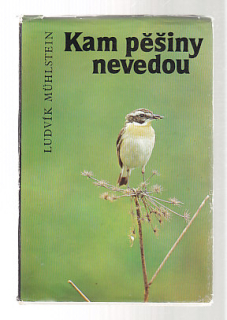 Kam pěšiny nevedou