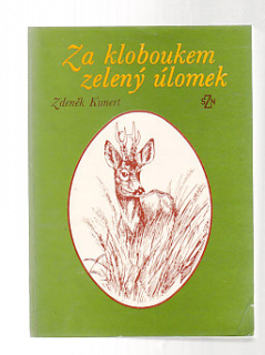 Za kloboukem zelený úlomek