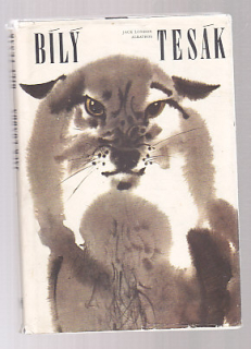 Bílý Tesák
