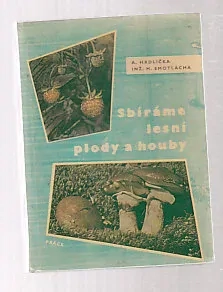 Sbíráme lesní plody a houby