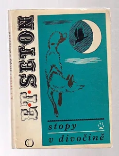 Stopy v divočině
