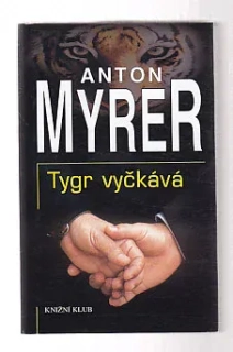 Tygr vyčkává