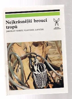 Nejkrásnější brouci trorů