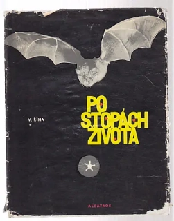 Po stopách života