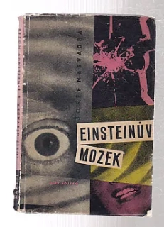 Einsteinův mozek