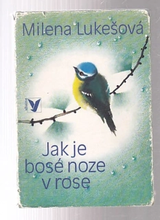 Jak je bosé noze v rose