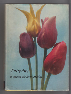 Tulipány a ostatní cibulové květiny