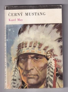 Černý mustang