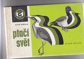 Ptačí zpěv