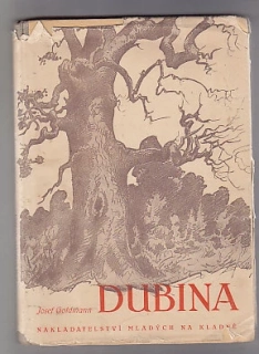 Dubina